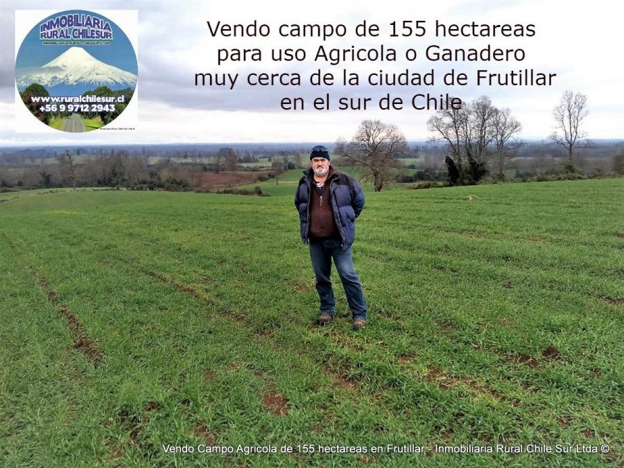 Foto Agricola en Venta en Frutillar, Llanquihue - 155 hectareas - $ 1.860.000.000 - AGV98684 - BienesOnLine