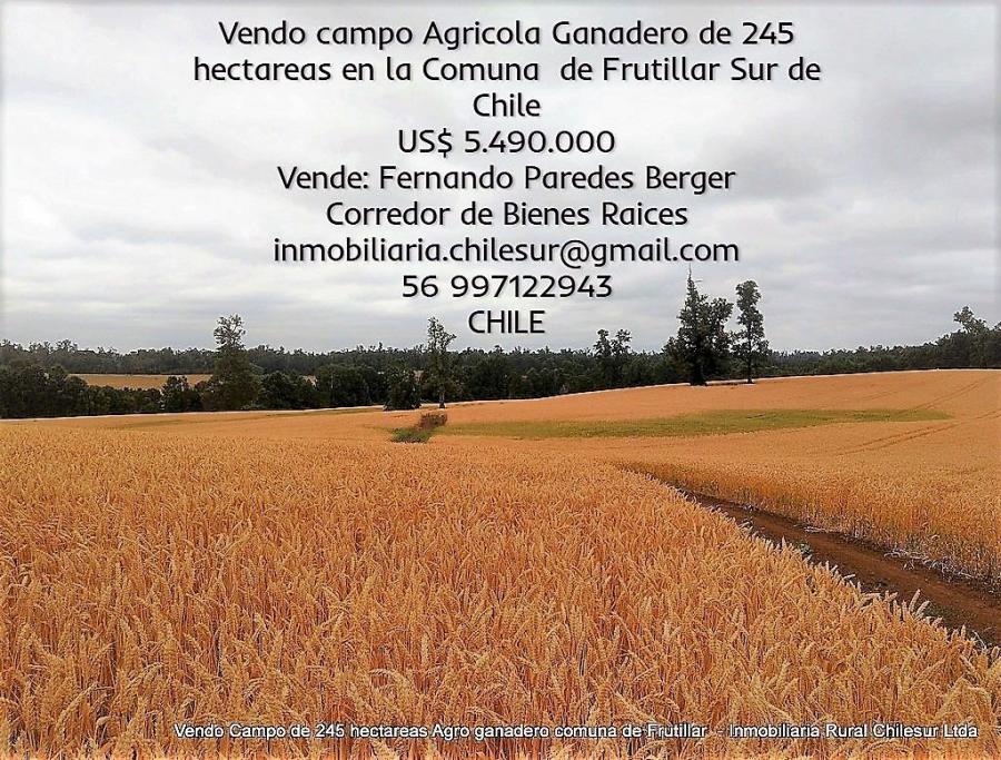 Foto Agricola en Venta en Frutillar, Frutillar, Llanquihue - 245 hectareas - U$D 5.490.000 - AGV72448 - BienesOnLine