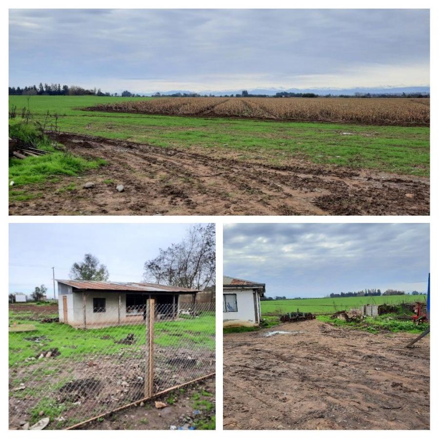 Foto Agricola en Venta en Agricola, Pelarco, Talca - U$D 3.260.869 - AGV131091 - BienesOnLine