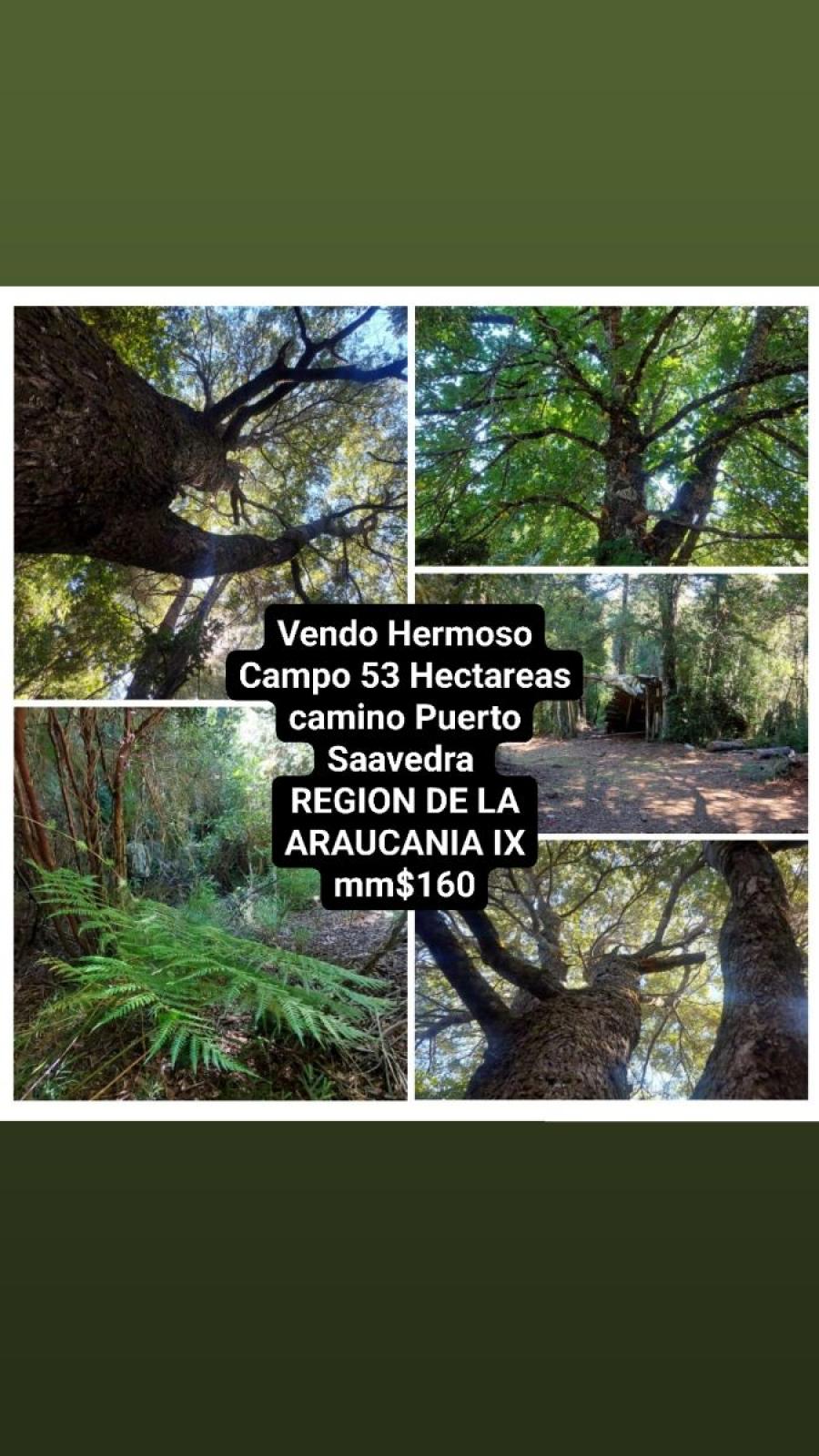 Foto Agricola en Venta en Agricola, Temuco, Cautin - 53 hectareas - $ 160.000.000 - AGV131301 - BienesOnLine