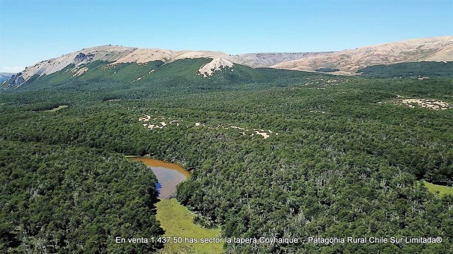 Foto Agricola en Venta en Aysen, Lago Verde, Coihaique - 1437 hectareas - $ 1.724.400.000 - AGV139573 - BienesOnLine