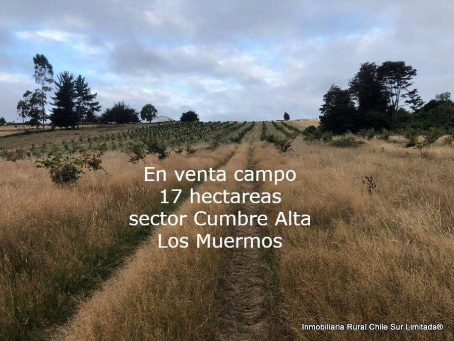 Foto Agricola en Venta en Cumbre Alta, Los Muermos, Llanquihue - 17 hectareas - $ 185.000.000 - AGV127632 - BienesOnLine