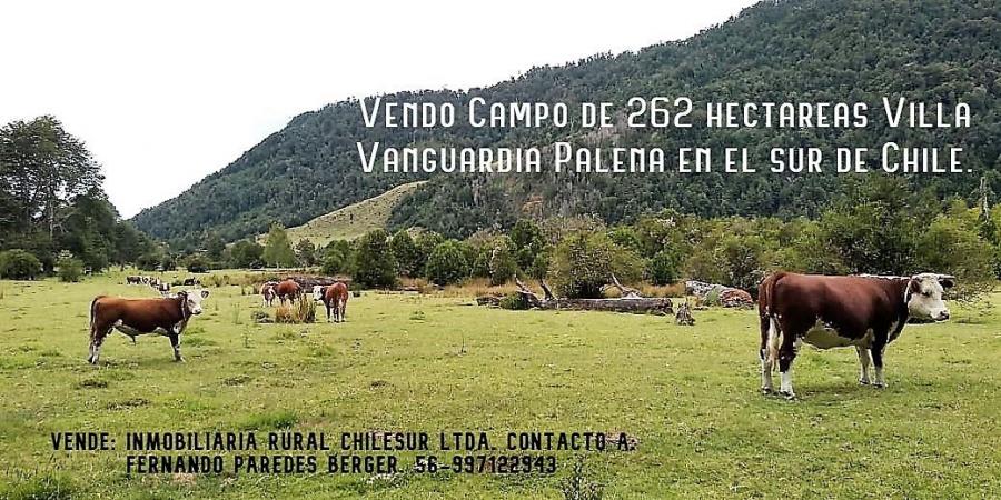 Foto Agricola en Venta en Rio Palena Rio Fro, Palena, Palena - 262 hectareas - $ 450.000.000 - AGV88141 - BienesOnLine