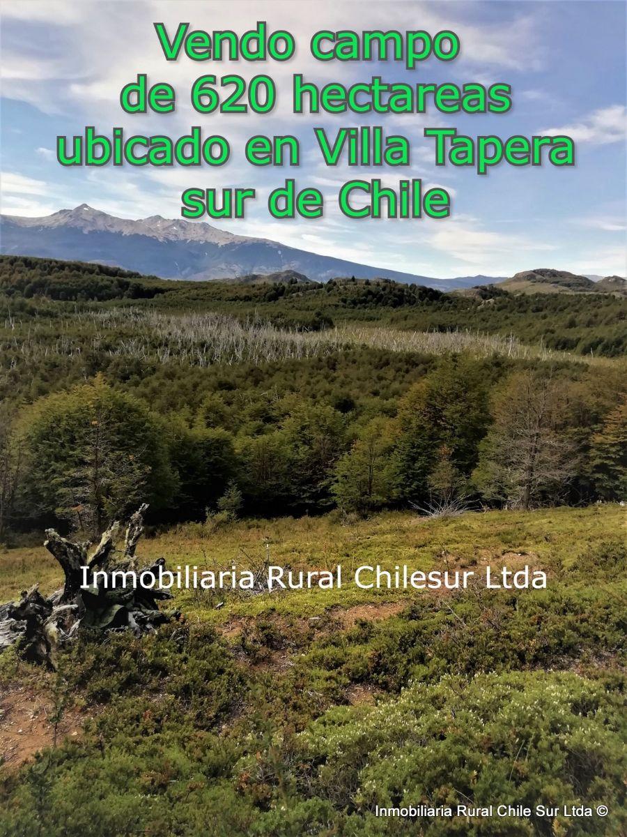 Foto Agricola en Venta en Villa Tapera Aisen, Lago Verde, Coihaique - 620 hectareas - $ 400.000.000 - AGV111003 - BienesOnLine