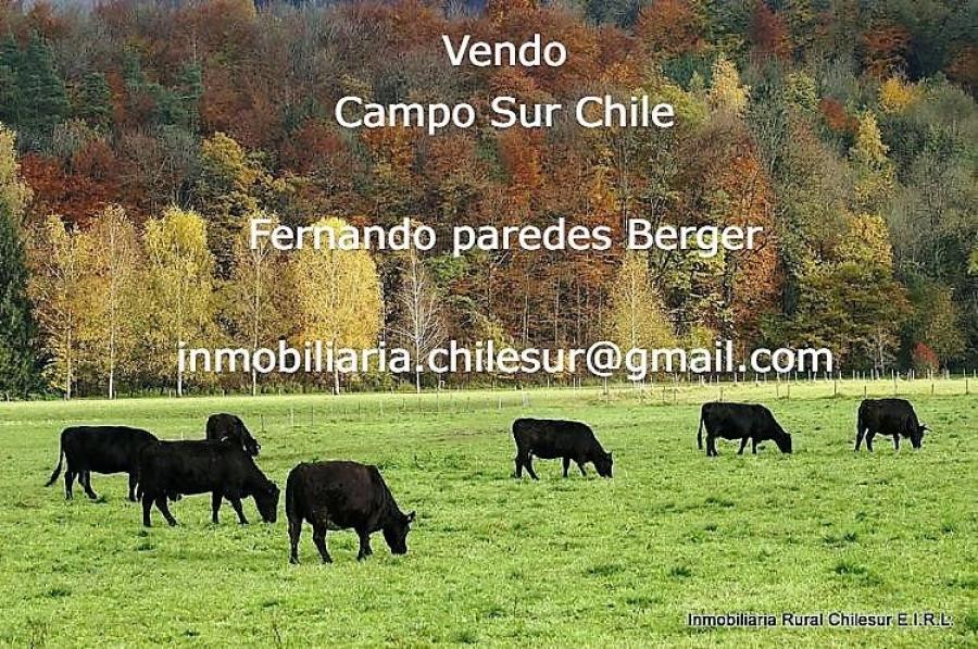 Foto Agricola en Venta en Purranque, Osorno - 1562 hectareas - U$D 120.000.000 - AGV6808 - BienesOnLine