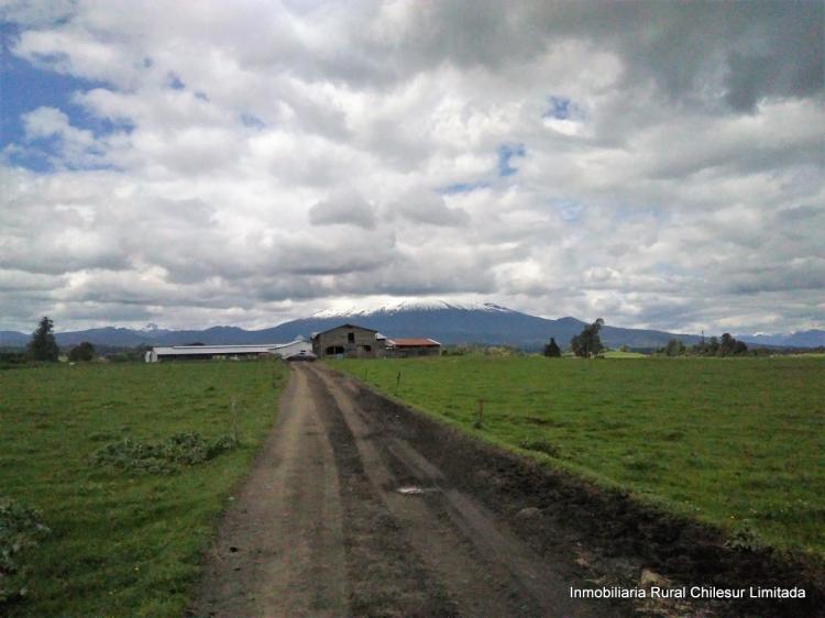 Foto Agricola en Venta en Puerto Octay, Osorno - 637 hectareas - U$D 18.000.000 - AGV62958 - BienesOnLine