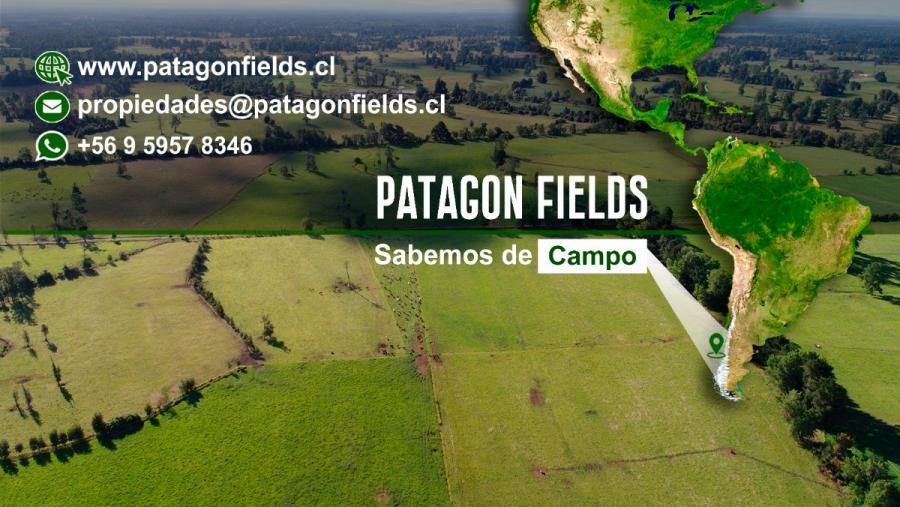 Foto Agricola en Venta en Ro Negro, Osorno - 122 hectareas - $ 1.837.500.000 - AGV132981 - BienesOnLine