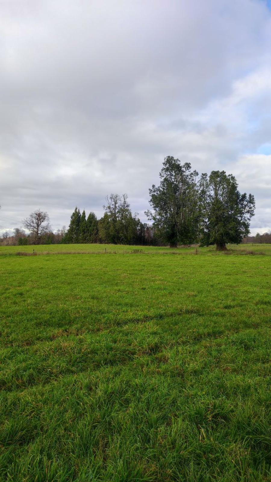 Foto Agricola en Venta en Osorno, Osorno - $ 2.147.483.647 - AGV156650 - BienesOnLine