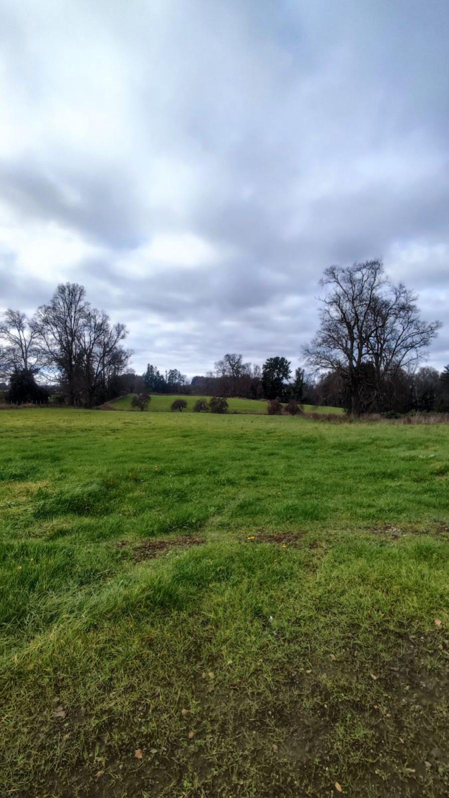 Foto Agricola en Venta en Osorno, Osorno - $ 2.147.483.647 - AGV156651 - BienesOnLine