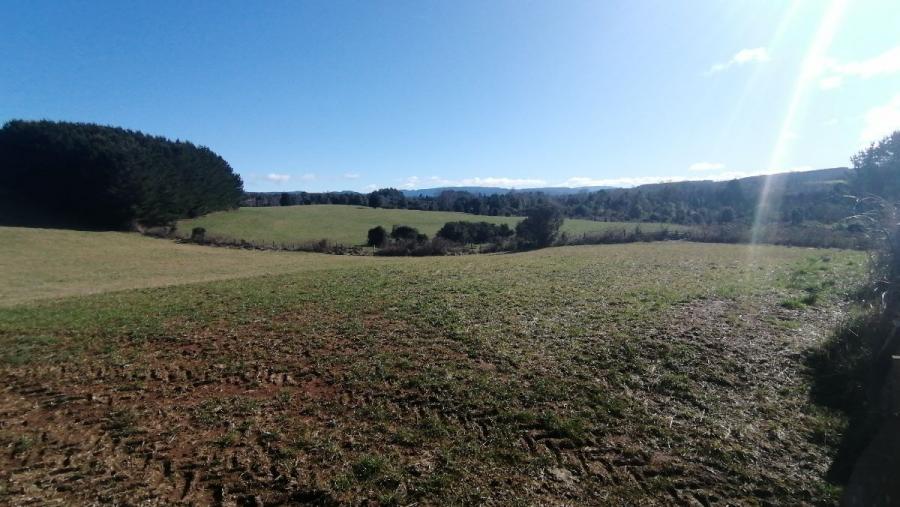 Foto Agricola en Venta en Purranque, Osorno - $ 1.395.000.000 - AGV132966 - BienesOnLine