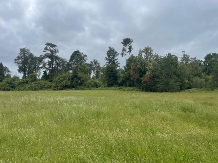 Foto Terreno en Venta en Puerto Octay, Osorno - 67 hectareas - $ 871.000.000 - TEV156707 - BienesOnLine