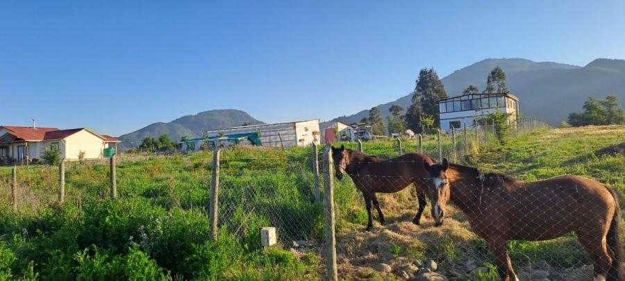 Foto Parcela en Venta en rural, San Clemente, Talca - $ 102.000.000 - PAV145700 - BienesOnLine