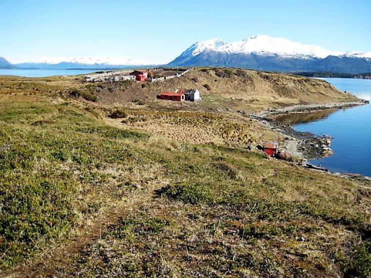 Foto Terreno en Venta en Río Verde, Magallanes - 50 hectareas - $ 550.000.000 - TEV73971 - BienesOnLine