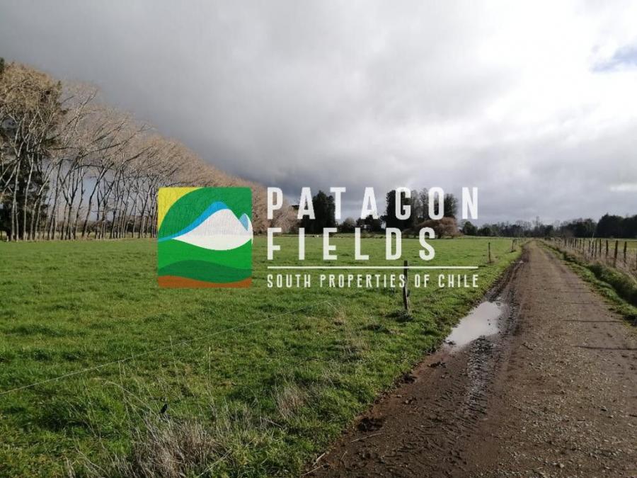 Foto Agricola en Venta en Cancura, Osorno - $ 24 - AGV111537 - BienesOnLine