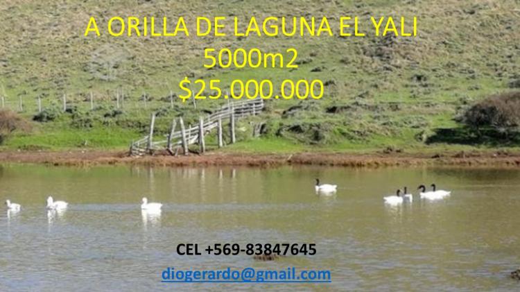 Foto Parcela en Venta en Reserva nacional El Yali, San Antonio - $ 25.000.000 - PAV69727 - BienesOnLine