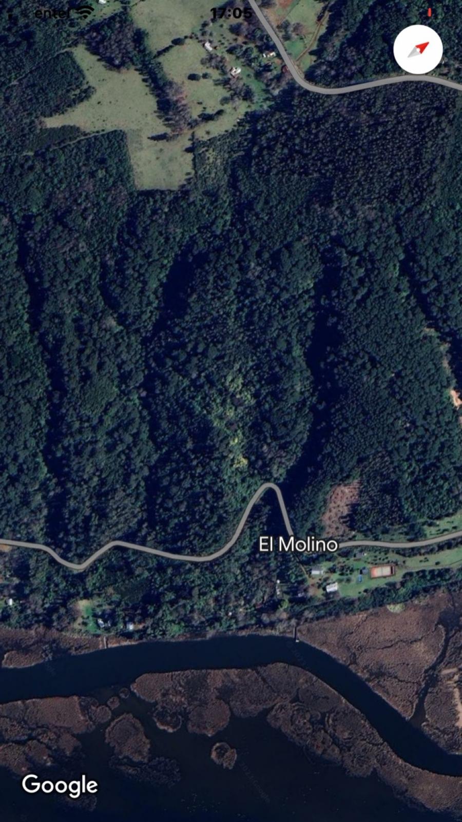 Foto Terreno en Venta en Valdivia, El molino, Punucapa, Valdivia - 16 hectareas - UFs 54.069 - TEV137999 - BienesOnLine