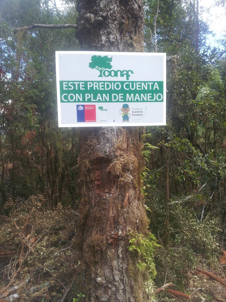 Foto Agricola en Venta en Futrono, Valdivia - 22 hectareas - $ 150.000.000 - AGV38109 - BienesOnLine