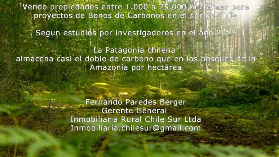 Foto Agricola en Venta en Chaitn, Palena - 79000 hectareas - U$D 120.000.000 - AGV146255 - BienesOnLine