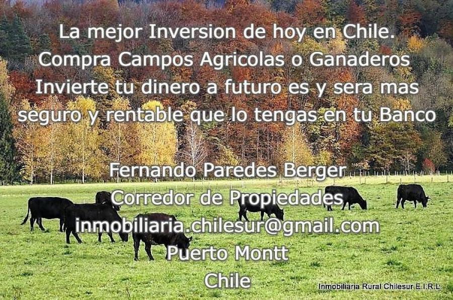 Foto Agricola en Venta en Sur de Chile, Cocham, Chaitn, Palena, Aysn, Puerto Montt, Llanquihue - AGV100992 - BienesOnLine