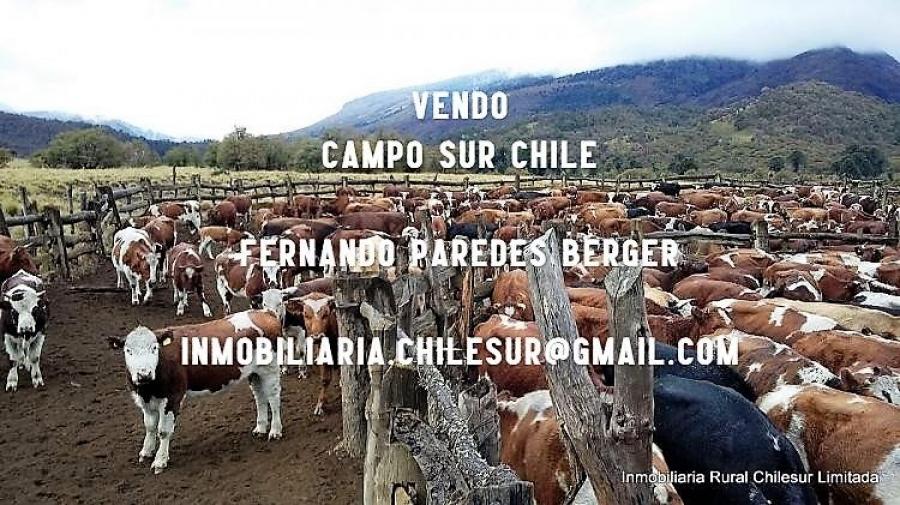 Foto Agricola en Venta en Lonquimay, Malleco - 27400 hectareas - U$D 57.000.000 - AGV13531 - BienesOnLine