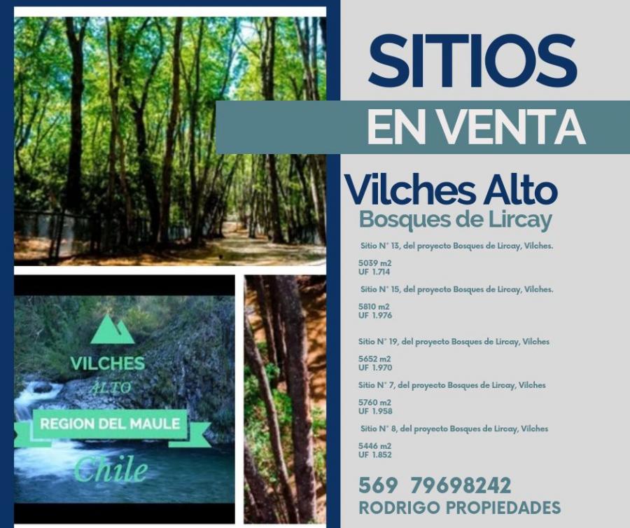 Foto Parcela en Venta en Agricola, San Clemente, Talca - UFs 1.714 - PAV132343 - BienesOnLine