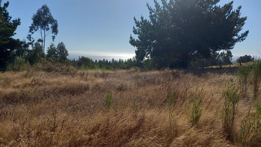 Foto Terreno en Venta en Cobquecura, Ñuble - 2 hectareas - $ 95.000.000 - TEV139353 - BienesOnLine