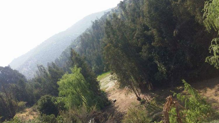 Foto Terreno en Venta en cajon de machali, Machal, Cachapoal - 3 hectareas - $ 125.000.000 - TEV62651 - BienesOnLine