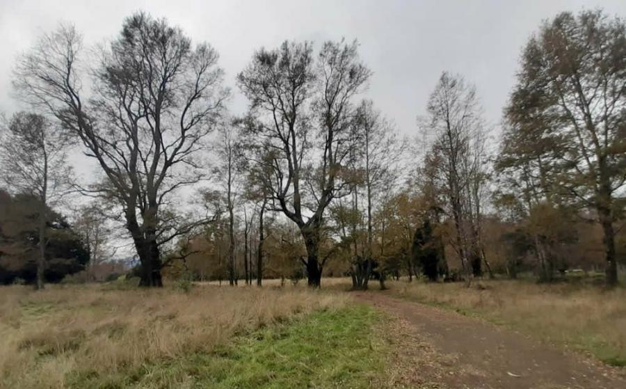 Foto Sitio en Venta en Urbana, Pucón, Cautin - UFs 37.800 - V114423 - BienesOnLine