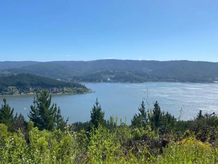 Foto Terreno en Venta en Vichuquén, Curicó - UFs 1.400 - TEV149509 - BienesOnLine