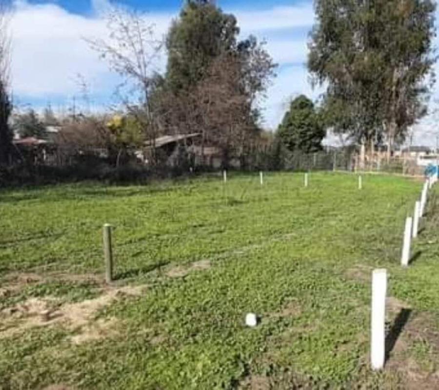 Foto Terreno en Venta en Santa Cruz, Colchagua - $ 34.000.000 - TEV144401 - BienesOnLine