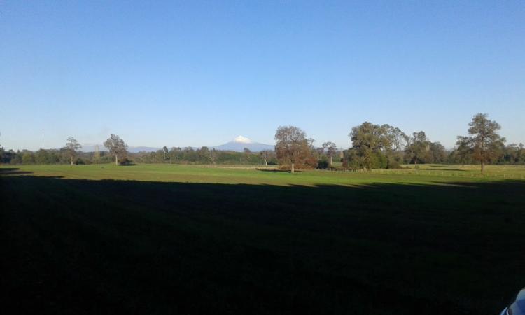 Foto Terreno en Venta en rural, Victoria, Malleco - 15 hectareas - $ 90.000.000 - TEV64510 - BienesOnLine