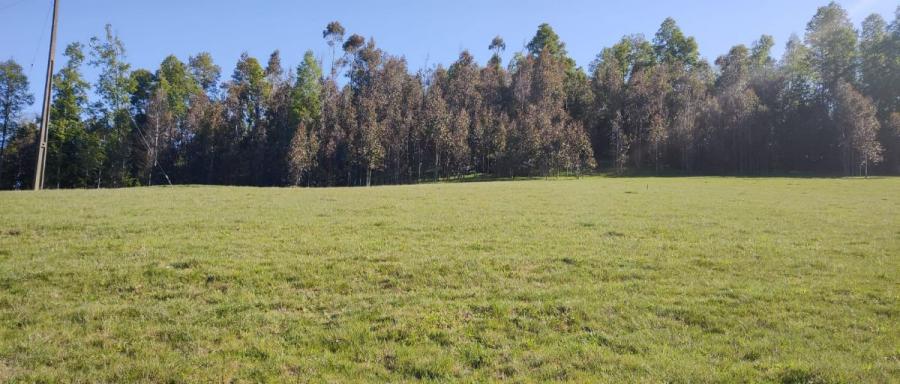 Foto Terreno en Venta en Osorno, Osorno - $ 25.000.000 - TEV138355 - BienesOnLine