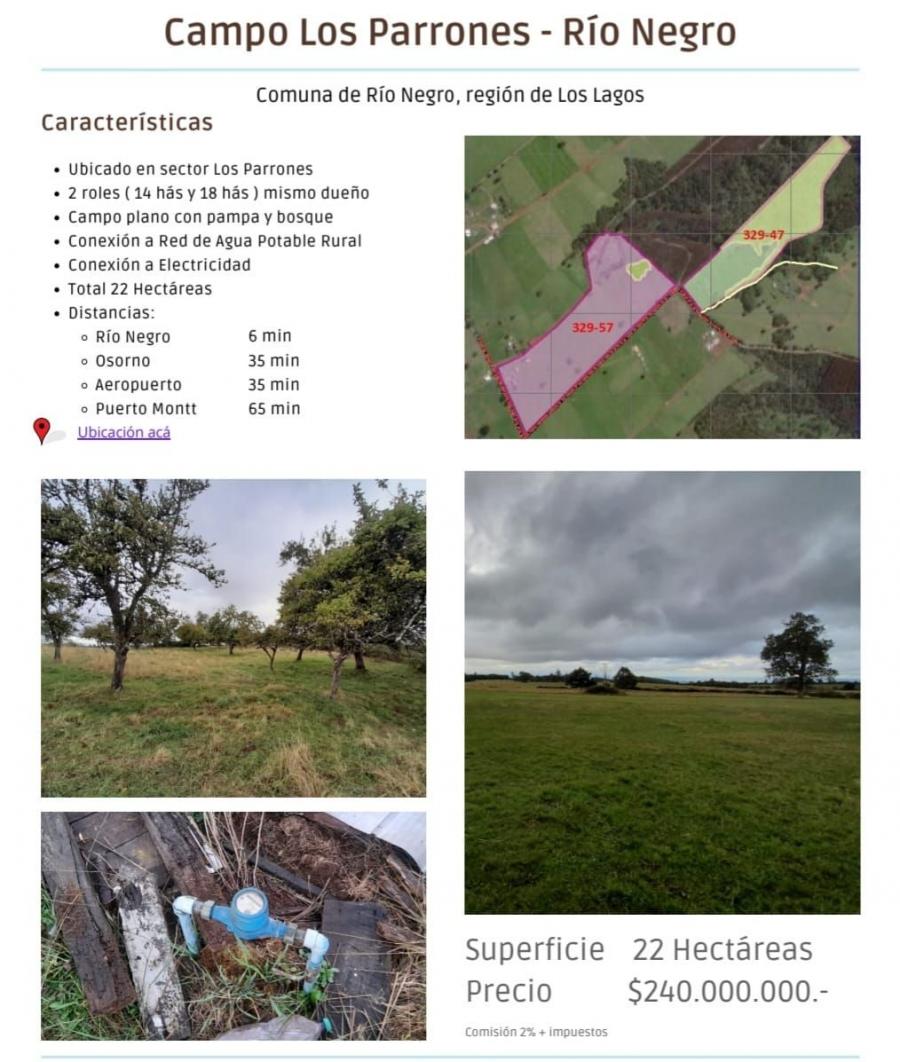 Foto Agricola en Venta en Los Parrones, Ro Negro, Osorno - $ 290.000.000 - AGV132855 - BienesOnLine
