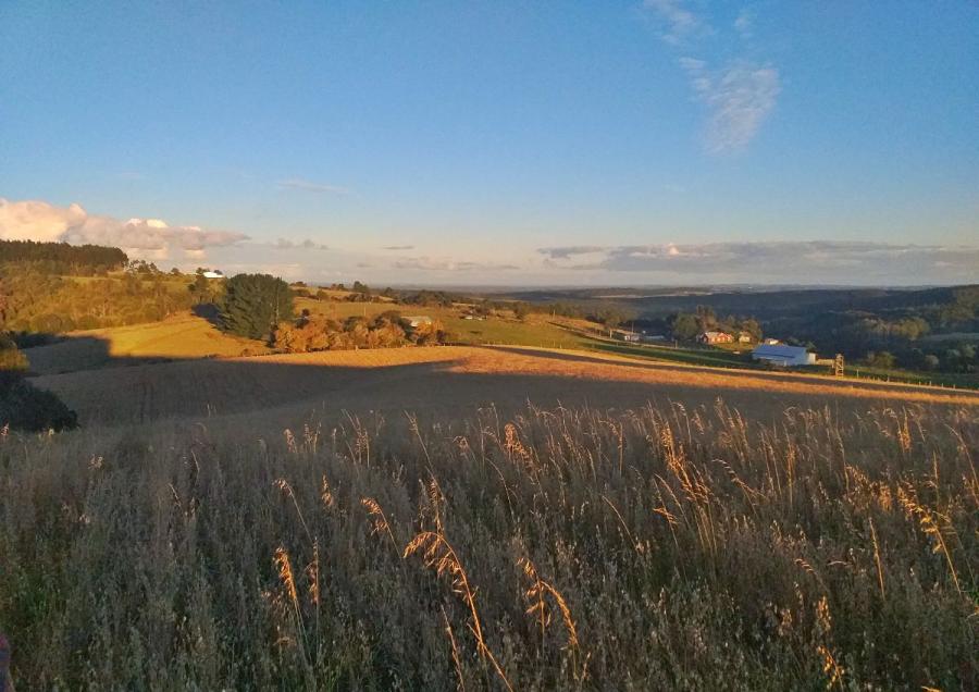 Foto Agricola en Venta en Fresia, Llanquihue - 36 hectareas - $ 324.000.000 - AGV129025 - BienesOnLine