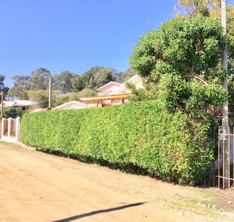 Home in Metric Way