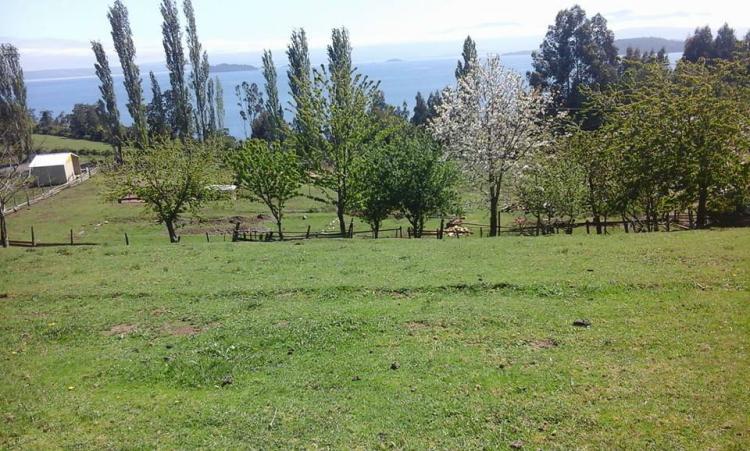 Foto Parcela en Venta en Lago Ranco, Valdivia - 2 hectareas - $ 15.000 - PAV52146 - BienesOnLine
