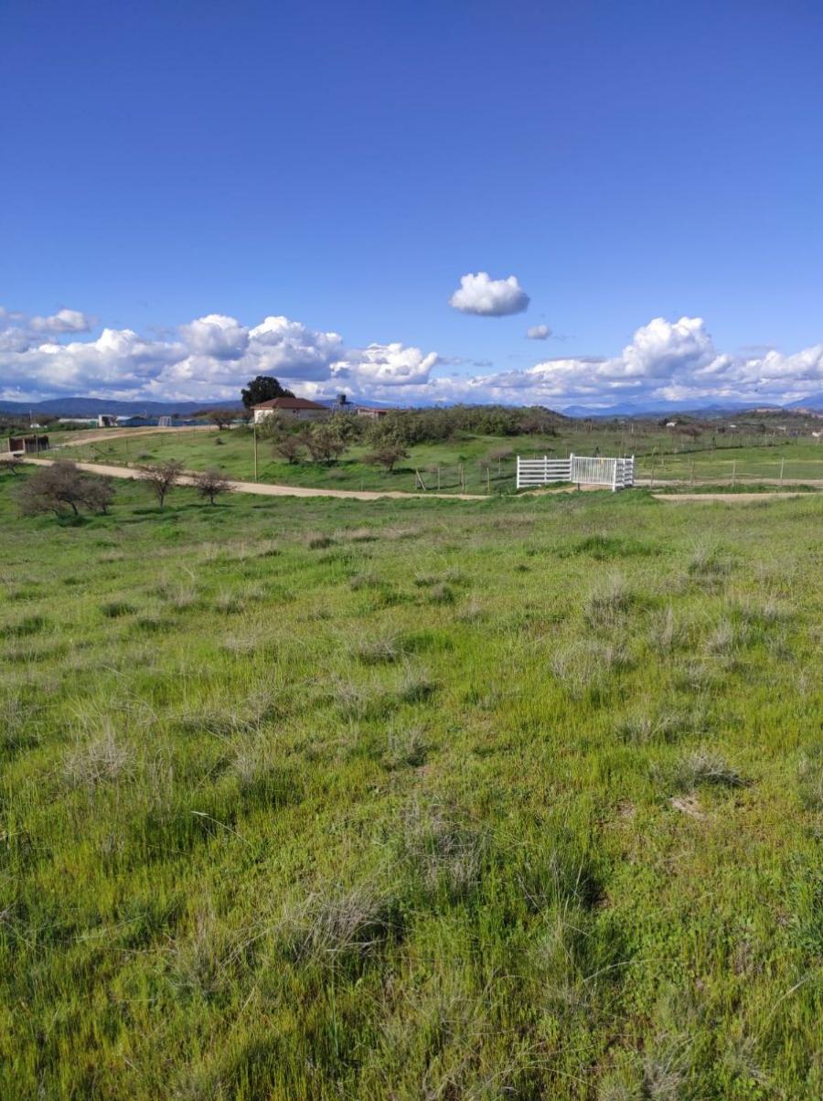 Foto Agricola en Venta en Litueche, Cardenal Caro - $ 23.990.000 - AGV138351 - BienesOnLine