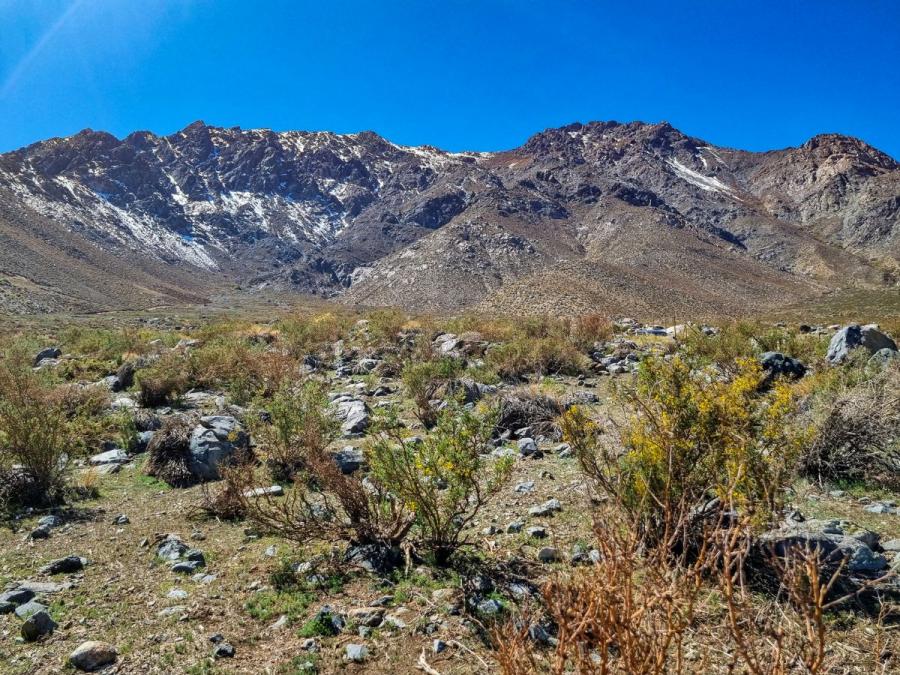 Foto Parcela en Venta en Valle del Elqui, El Pangue, Elqui - $ 13.000.000 - PAV134040 - BienesOnLine