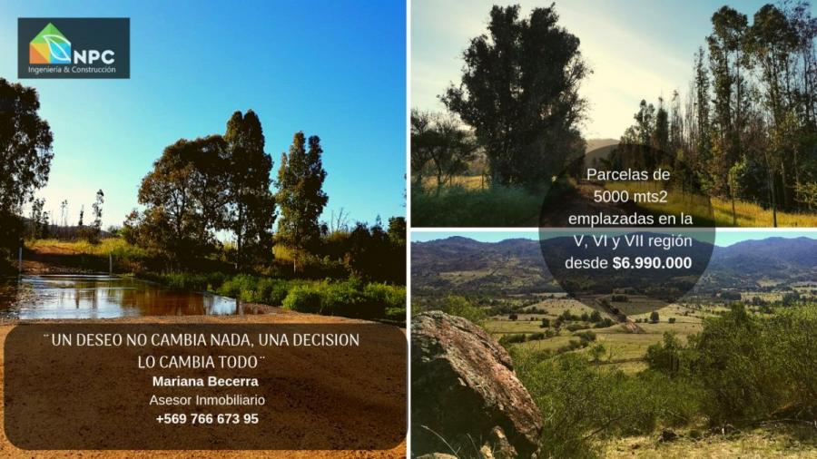 Foto Parcela en Venta en Valle de Colchagua, Santa Cruz, Colchagua - 1 hectareas - $ 6.990.000 - PAV87092 - BienesOnLine