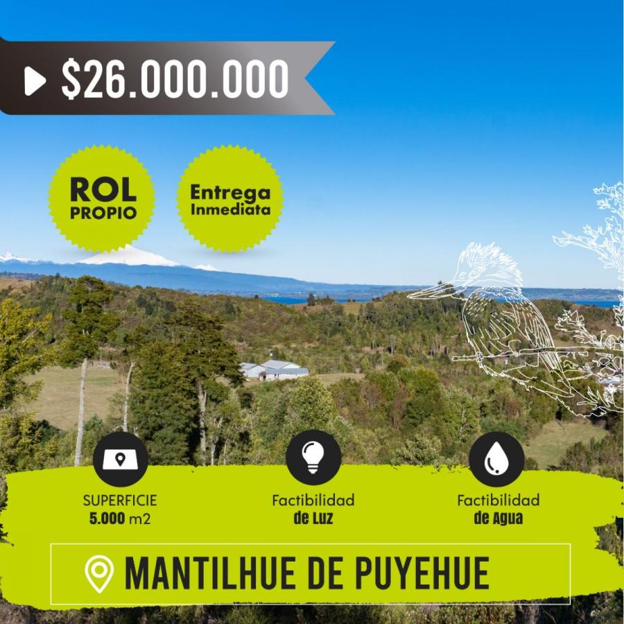 Foto Parcela en Venta en mantilhue alto, Río Bueno, Valdivia - $ 26.000.000 - PAV138415 - BienesOnLine