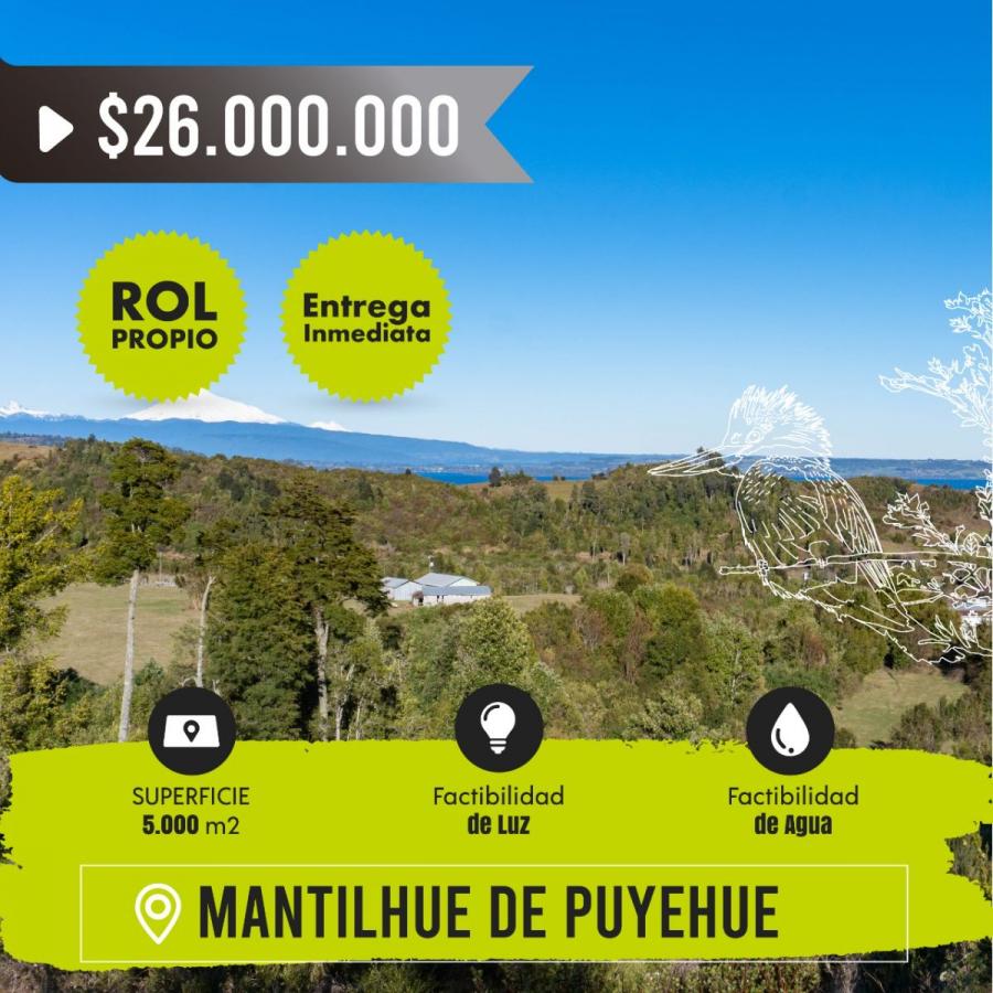 Foto Parcela en Venta en mantilhue alto, Ro Bueno, Valdivia - $ 26.000.000 - PAV138415 - BienesOnLine