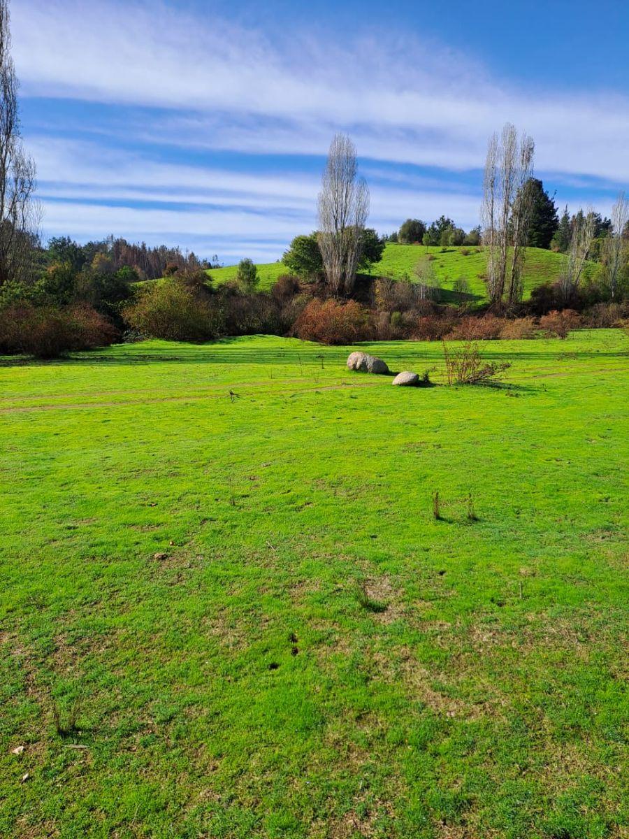 Foto Terreno en Venta en Sector puente 7, Florida, Concepción - $ 30.000.000 - TEV145330 - BienesOnLine