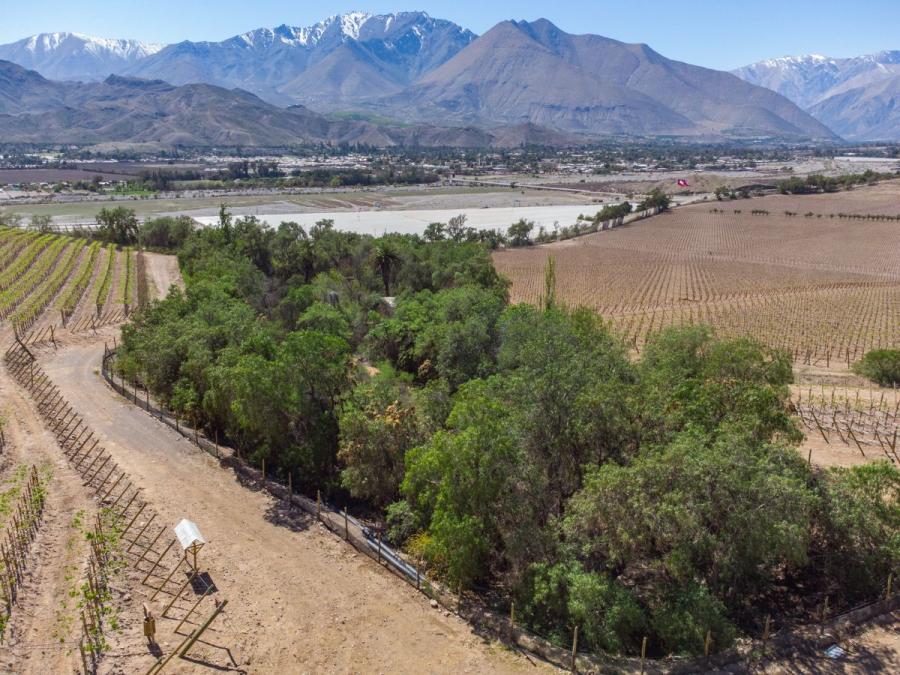 Foto Terreno en Venta en Valle del Elqui, La Compaa, Elqui - 1 hectareas - $ 76.000.000 - TEV133199 - BienesOnLine