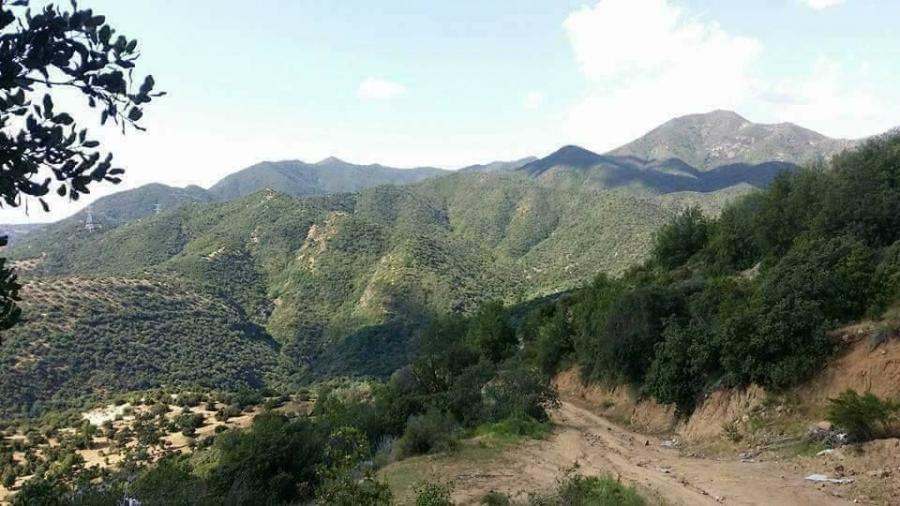 Foto Terreno en Venta en Sexta Region, Machal, Cachapoal - 70 hectareas - $ 420.000.000 - TEV95028 - BienesOnLine