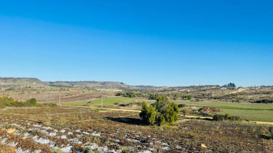 Foto Agricola en Venta en Litueche, Cardenal Caro - $ 32.990.000 - AGV138349 - BienesOnLine