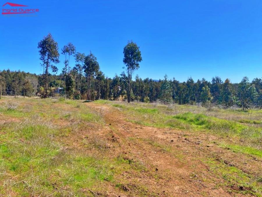 Foto Parcela en Venta en San Nicolás, Ñuble - $ 30.000.000 - PAV139934 - BienesOnLine
