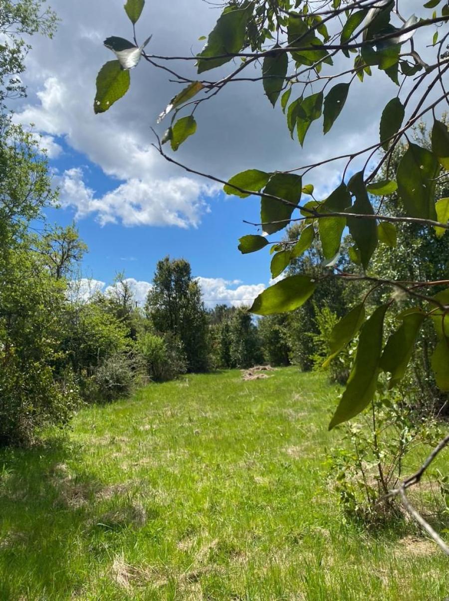 Foto Parcela en Venta en MOLCO ALTO, Pucón, Cautin - $ 43.950.000 - PAV148021 - BienesOnLine