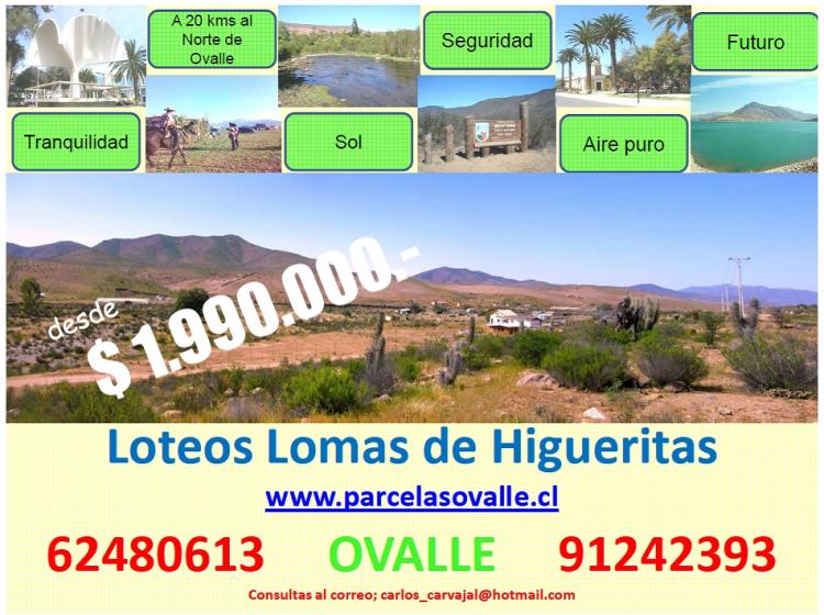 Foto Terreno en Venta en Localidad de Higueritas, Ovalle, Limari - $ 1.990.000 - TEV15513 - BienesOnLine