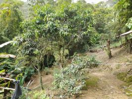 Casa lote en venta 