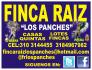 finca raíz los panches